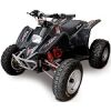 DRR 100