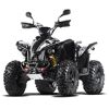 TARGET 550 EFI