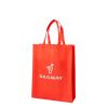 Non-woven Bag