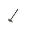 EXHAUST VALVE
