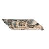 CAMO RIGHT GUARD