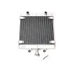 RADIATOR BODY ASSEMBLY(V)