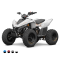 Linhai ATV 110 4x2 EFI CE