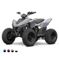 Linhai ATV 110 4x2 EFI CE