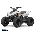 Linhai ATV 110 4x2 EFI CE, Gray
