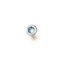 HEXAGON SOCKET PAN HEAD STEPPED BOLTS