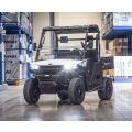 Linhai Electric UTV LH80DU, E5+, White