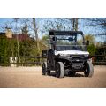 Linhai Electric UTV LH80DU, E5+, White