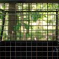 SHARK FENCE for LINHAI UTV T-boss 570