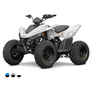 Linhai ATV 110 4x2 EFI CE, Gray