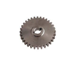 OIL PUMP DRIVEN GEAR