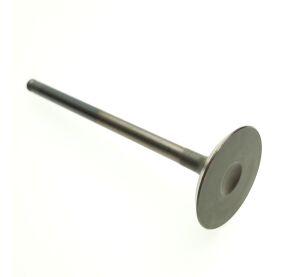 INTAKE VALVE