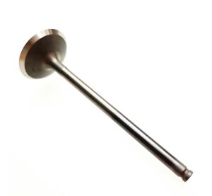 INTAKE VALVE