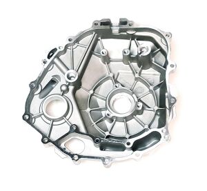 LEFT CRANKCASE COVER ASSEMBLY