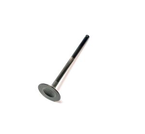EXHAUST VALVE