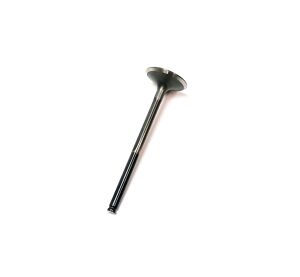 EXHAUST VALVE