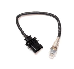 Oxygen Sensors