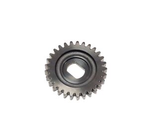 WATER PUMP GEAR