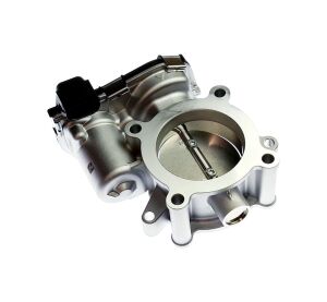 BODY ASSY, THROTTLE