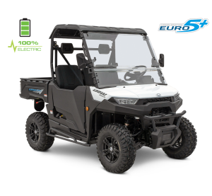 Linhai Electric UTV LH80DU, E5+, White