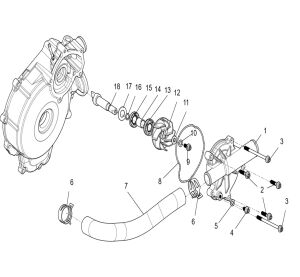 Water Pump assembly