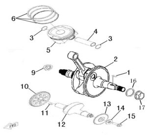 CRANKSHAFT COMP