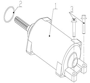 STARTING MOTOR