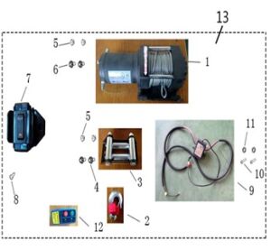 Options (WINCH)