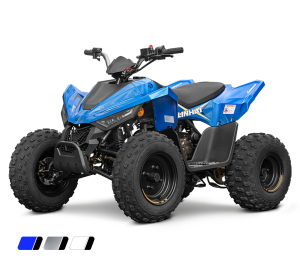 Linhai ATV 110 4x2 EFI CE, Blue