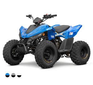 Linhai ATV 110 4x2 EFI CE