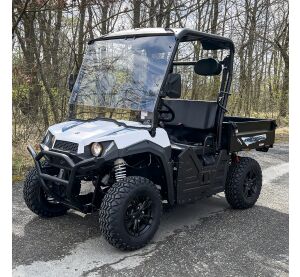 Linhai Electric UTV LH50DU, E5, White