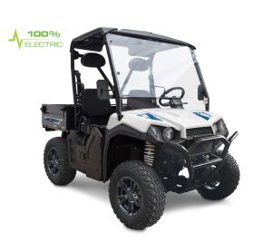 Linhai Electric UTV LH50DU, E5, White