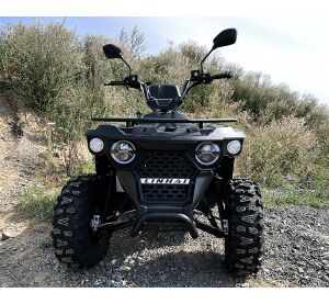 Linhai M210 4x2 EFI T3b, Red