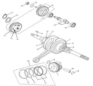 CRANKSHAFT AND PISTON