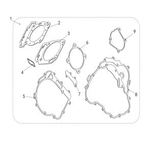 FRAGILE GASKET ASSY