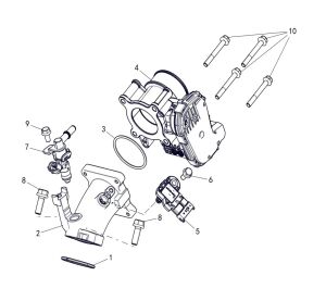 FUEL INJECTION ASSY