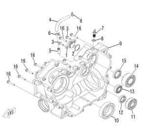 RIGHT CRANKCASE