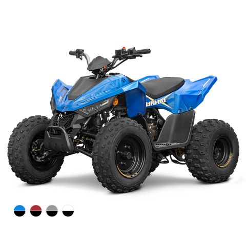 Linhai ATV 110 4x2 EFI CE