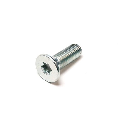 SCREW M8×25