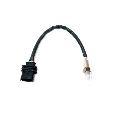 M12 OXYGEN SENSOR
