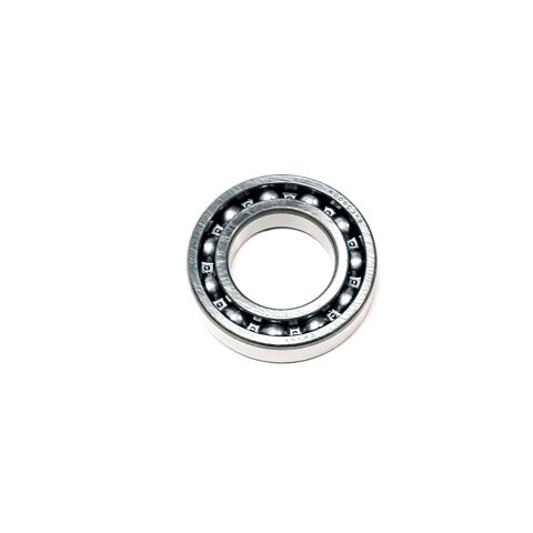 BEARING 6006