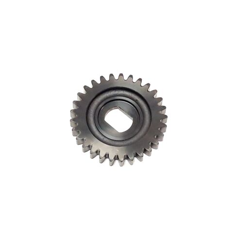 WATER PUMP GEAR