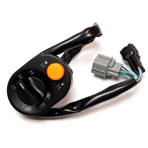 2/4 WD AND REAR DIFF SWITCH