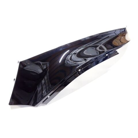 RL GUARD (BLACK)