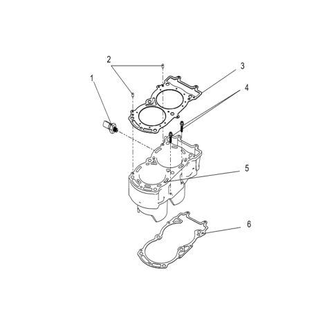 Cylinder sub-assembly