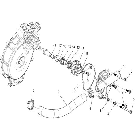 Water Pump assembly