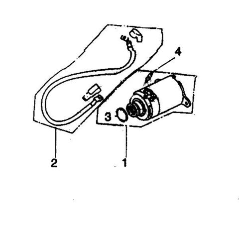 STARTING MOTOR