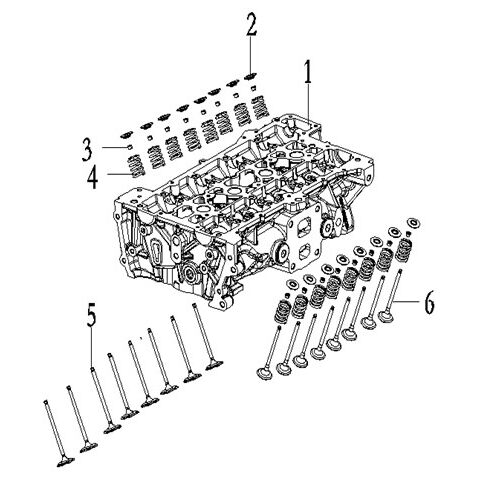 VALVE AND VALVE SPRING