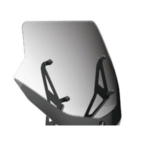 Windshield