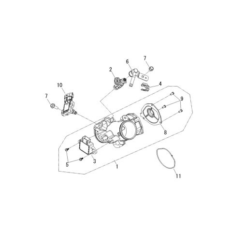 Throttle Body